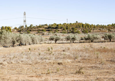 Estudio de Integración Paisajística  Proyecto de Planta Solar Fotovoltaica Torrentenergy 1-2-3-4  (48 + 48 +48+48 MW). Turís-Montserrat. Valencia
