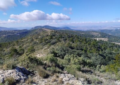 Estudio de Impacto Ambiental Parque Eólico Cluster Castalla.. (40 MW). Castalla.Alicante