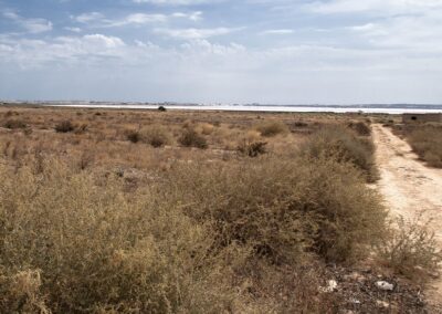 Evaluación Ambiental del Plan General de Los Montesinos. Alicante