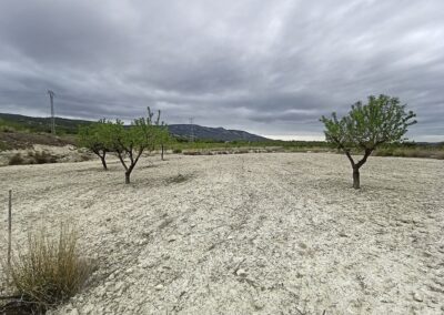 Estudio de Impacto Ambiental Proyecto de Instalación Fotovoltaica Kenerjona 1- 2 (48 + 48 MW) Castalla-lbi. Alicante