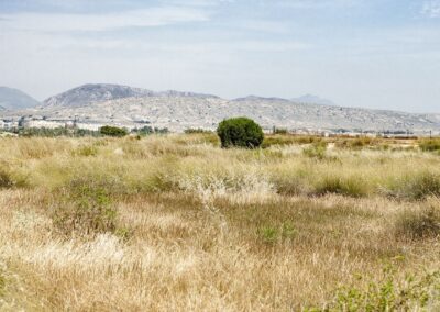 Estudio de Impacto Ambiental Proyecto de Planta Solar Fotovoltaica Luis Mora 1-2-3- (4,9+4,9+4,9  MW). Elche. Alicante