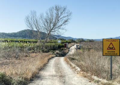 Estudio de inundabilidad Proyecto de Planta Solar Fotovoltaica Torrentenergy -4 (48 MW). Turís. (Valencia).
