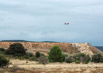 Estudio de fauna y sus hábitats. Aeropuerto de Castellón. Benlloch. (Castellón).