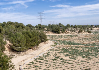 Informe ambiental Finca Lo Monte y Finca Lomas de Campoamor, incluidas en el PORN Sierra de Escalona y Dehesa de Campoamor. Orihuela -Pilar de La Horadada (Alicante).