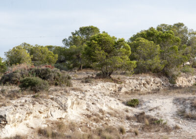 Plan Local de Prevención de Incendios Forestales. Los Montesinos (Alicante).