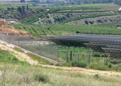 Vigilancia Ambiental del Proyecto Constructivo planta Solar Fotovoltaica Les Trencades. Onda (Castelló).