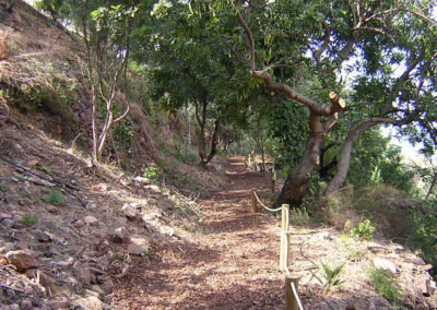 Dirección Obra de Restauración Medioambiental Zona Avda Barceló. Vilafames (Castelló).